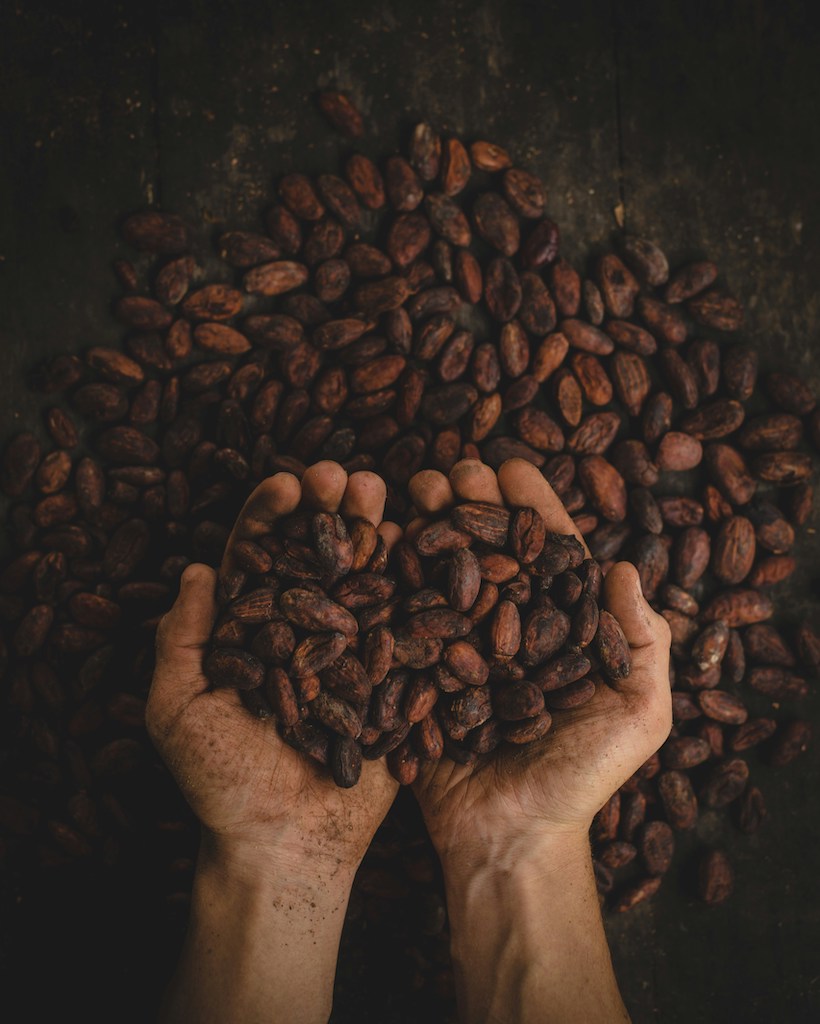 cacao beans for cacao ceremonies
